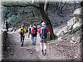 IMG_9011.JPG