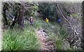 IMG_9021.JPG