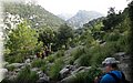 IMG_9031.JPG