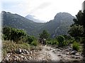 IMG_9037.JPG