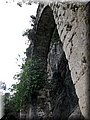 IMG_9058.JPG