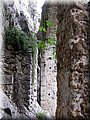 IMG_9061.JPG