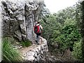 IMG_9066.JPG