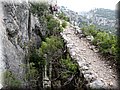 IMG_9078.JPG