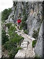 IMG_9083.JPG