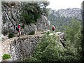 IMG_9100.JPG