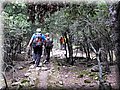 IMG_9112.JPG
