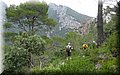 IMG_9114.JPG