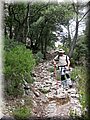 IMG_9120.JPG