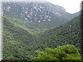 IMG_9122.JPG