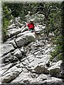 IMG_9127.JPG