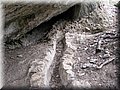 IMG_9134.JPG