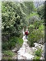 IMG_9139.JPG