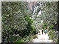 IMG_9178.JPG