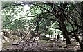 DSCF0540.JPG