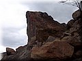 DSCF0600.JPG