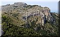 DSCF1603.JPG