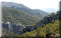 P1020555.JPG
