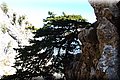 PA042898.JPG