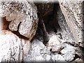 PA213970.JPG