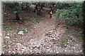 PC127009.JPG