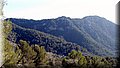 PC227779.JPG