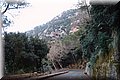 P1028229.JPG