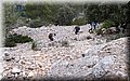 P1028246.JPG