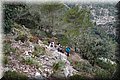 P1028248.JPG