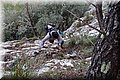 P1028265.JPG
