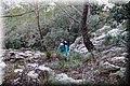 P1028266.JPG