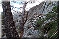 P1028268.JPG