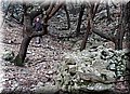 P1028300.JPG