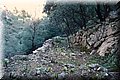 P1028375.JPG