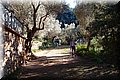 P1028398.JPG