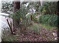 P1028411.JPG