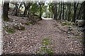 P1028413.JPG