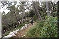 P1058452.JPG