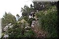 P1058461.JPG