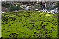 P1058463.JPG