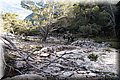 P1058469.JPG