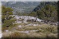 P1058483.JPG