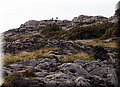 P1058509.JPG