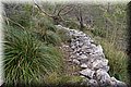 P1058511.JPG