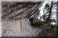 P1128760.JPG