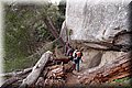 P1128768.JPG