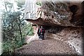 P1128771.JPG