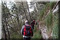 P1128773.JPG