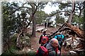 P1128776.JPG