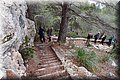 P1128779.JPG